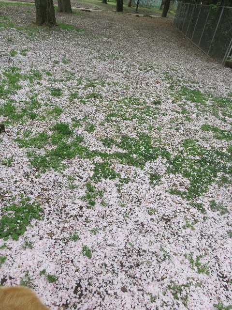 ファイル 5647-5.jpg