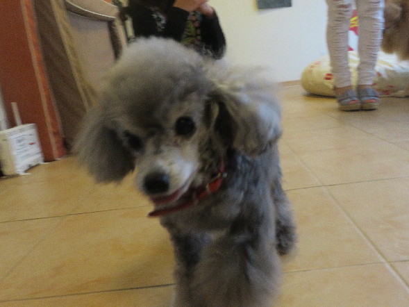 ファイル 5648-1.jpg