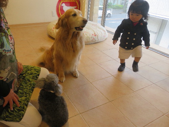 ファイル 5648-4.jpg