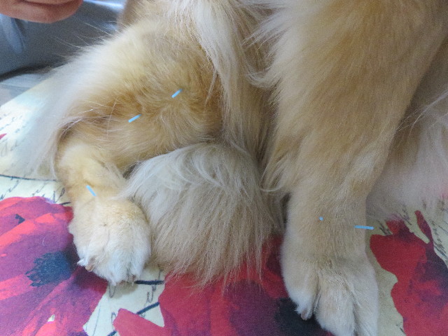 ファイル 5649-3.jpg