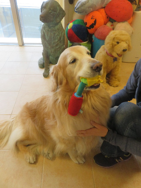 ファイル 5650-5.jpg