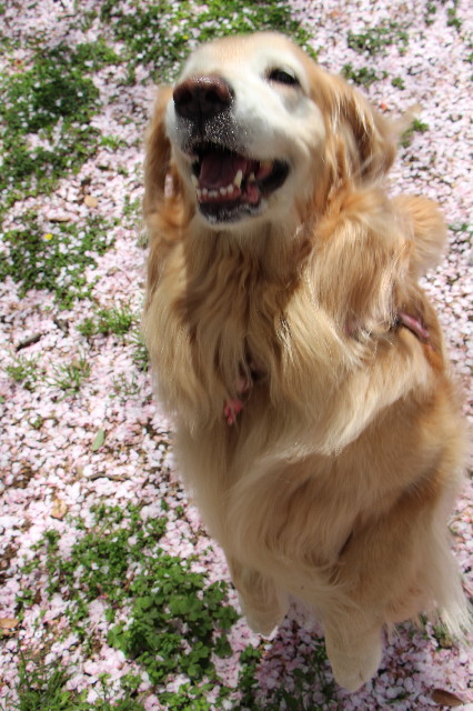 ファイル 5651-2.jpg