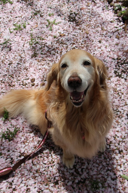 ファイル 5651-5.jpg