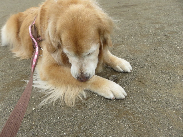 ファイル 5652-3.jpg