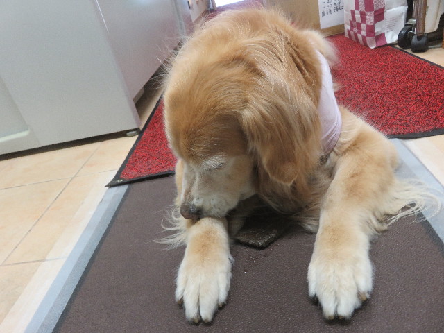 ファイル 5652-4.jpg