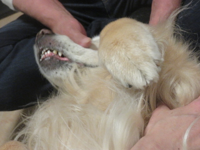 ファイル 5653-5.jpg