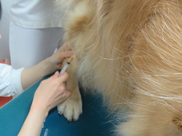 ファイル 5656-1.jpg