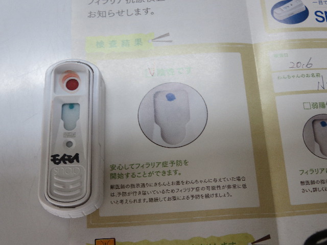 ファイル 5656-2.jpg