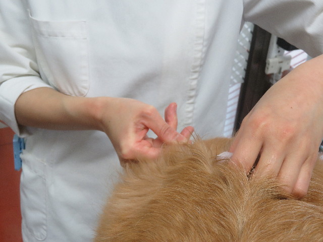 ファイル 5656-3.jpg