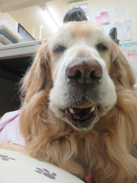 ファイル 5657-1.jpg