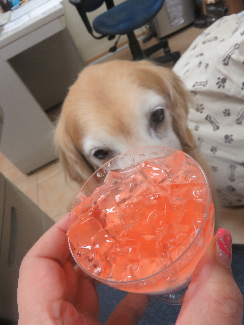 ファイル 5657-3.jpg