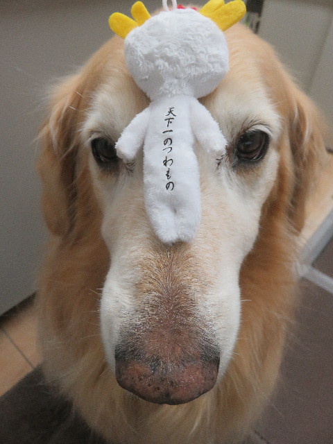 ファイル 5657-5.jpg