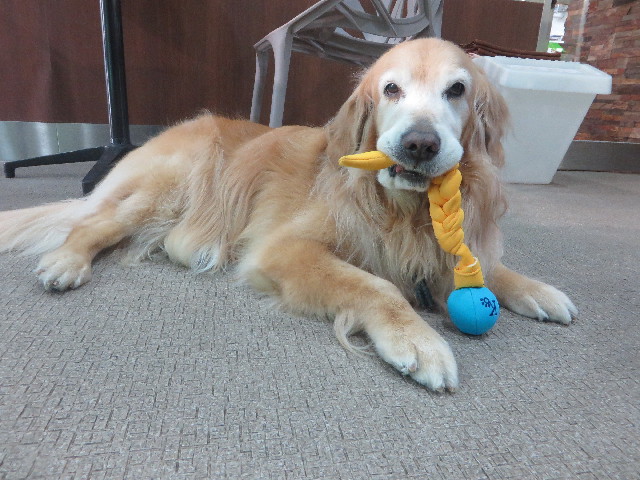 ファイル 5658-1.jpg