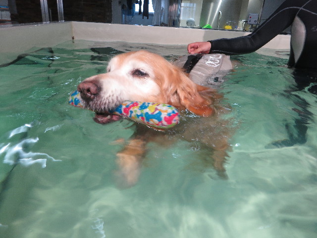 ファイル 5658-2.jpg