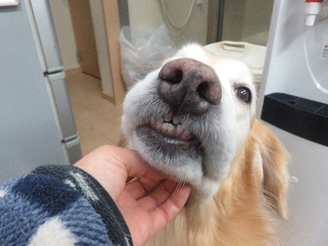 ファイル 5659-2.jpg