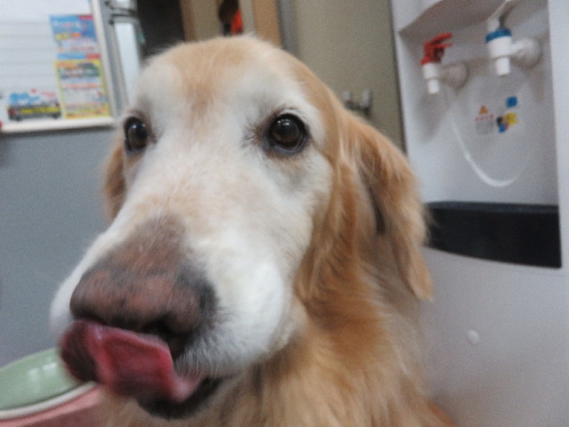 ファイル 5659-3.jpg