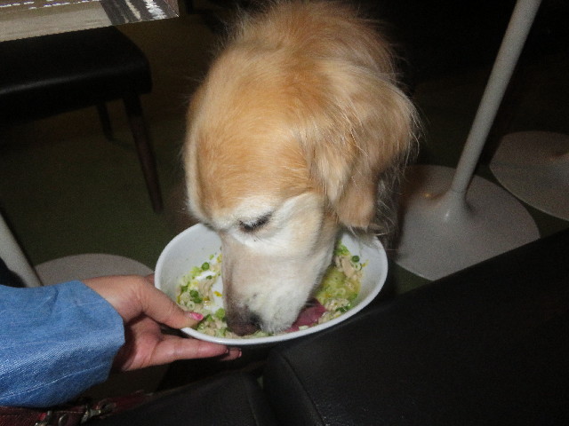 ファイル 5660-2.jpg