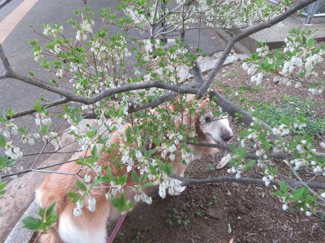 ファイル 5660-3.jpg