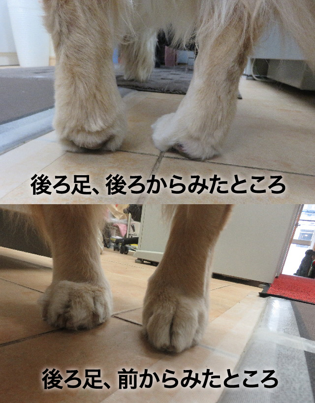 ファイル 5661-2.jpg