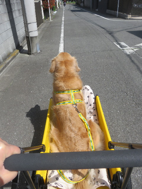 ファイル 5663-1.jpg