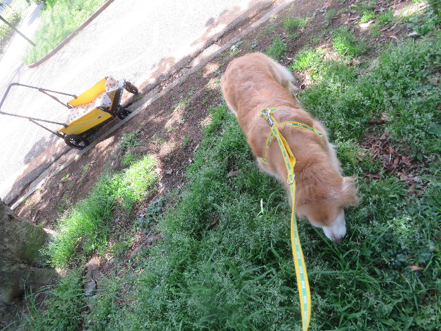 ファイル 5663-2.jpg