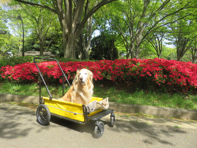 ファイル 5663-4.jpg