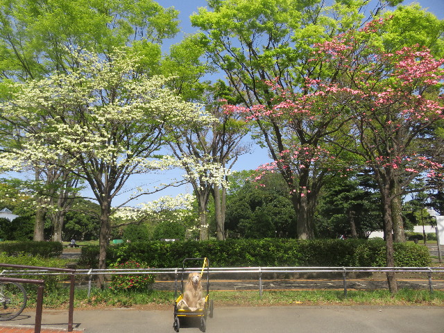 ファイル 5664-1.jpg