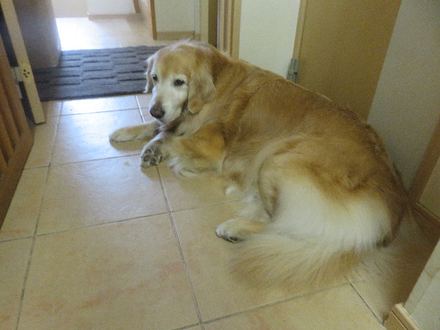 ファイル 5665-3.jpg