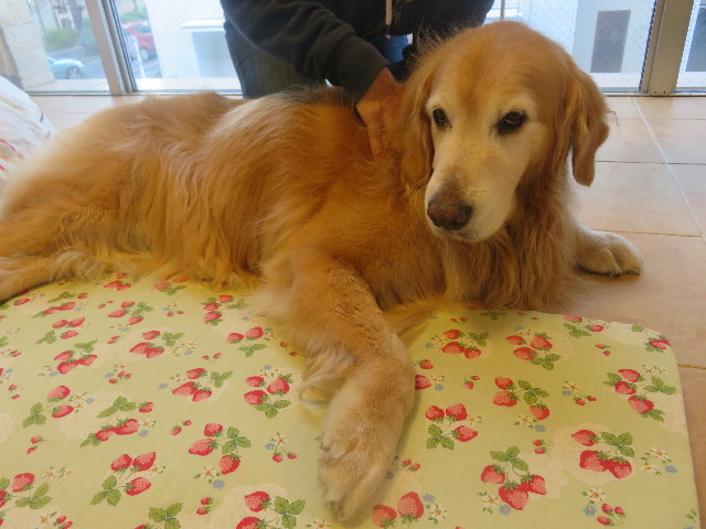 ファイル 5665-4.jpg