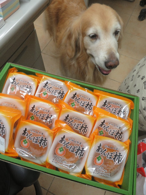 ファイル 5666-3.jpg