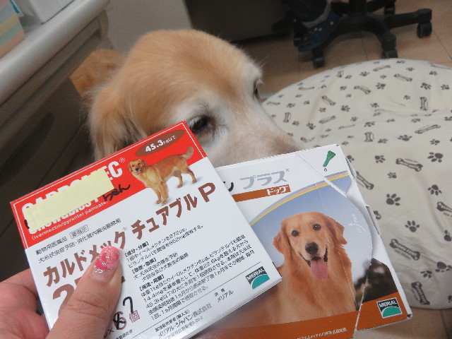 ファイル 5666-4.jpg