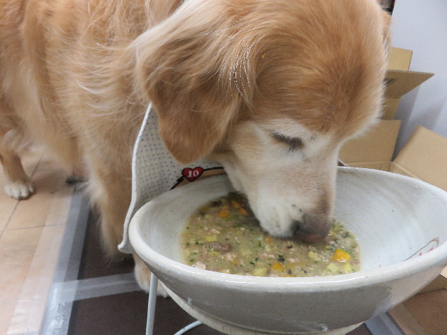 ファイル 5666-5.jpg