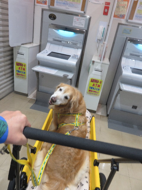 ファイル 5667-5.jpg