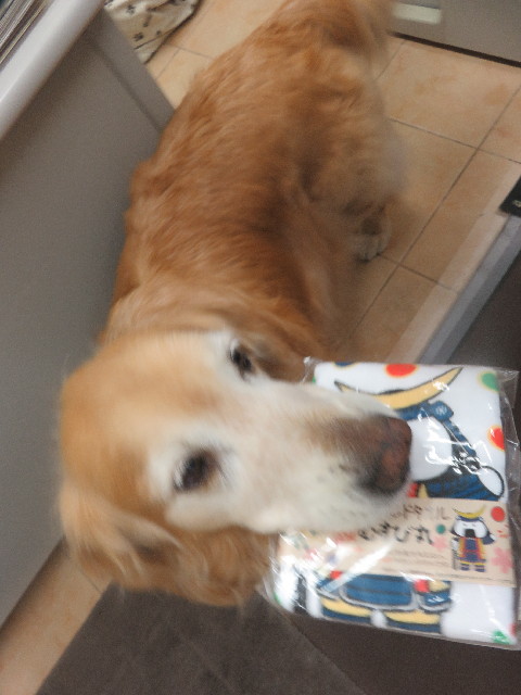 ファイル 5668-3.jpg