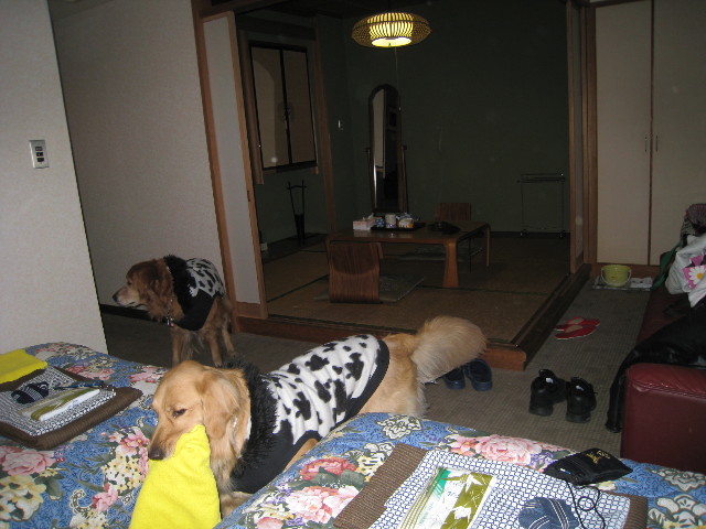 ファイル 567-1.jpg