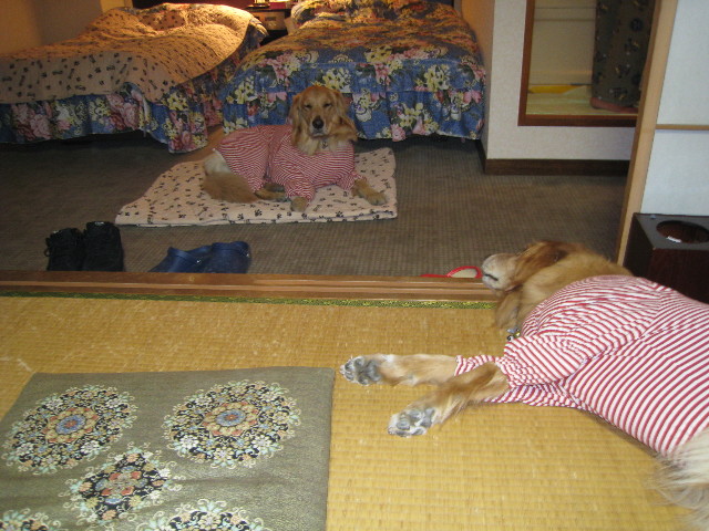 ファイル 567-3.jpg