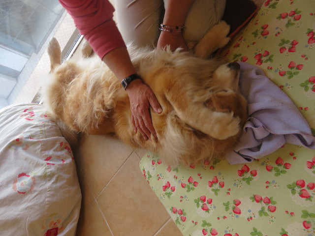 ファイル 5671-1.jpg