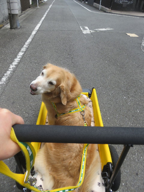 ファイル 5671-2.jpg