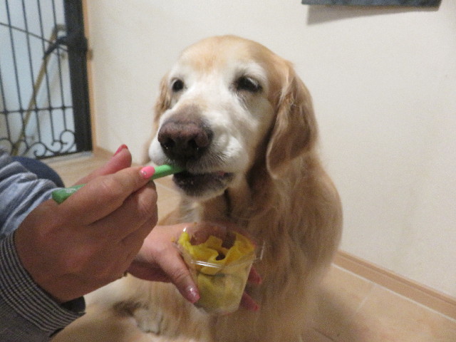 ファイル 5671-3.jpg