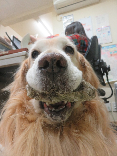 ファイル 5671-4.jpg