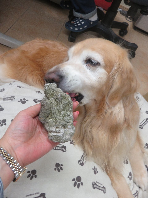 ファイル 5671-5.jpg