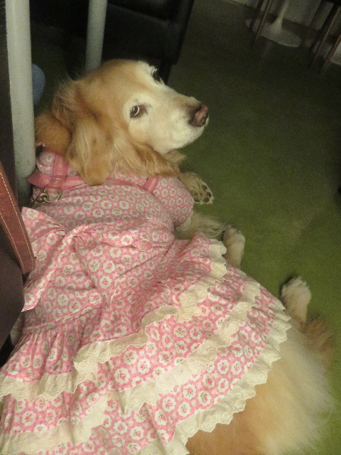 ファイル 5672-1.jpg