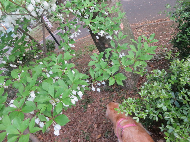 ファイル 5673-2.jpg