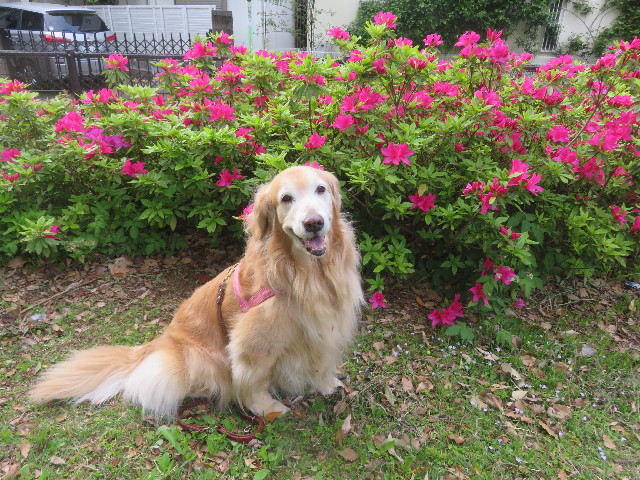 ファイル 5673-3.jpg