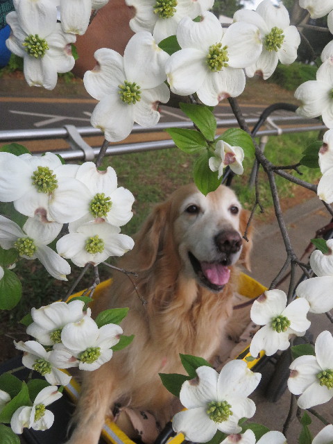 ファイル 5674-4.jpg