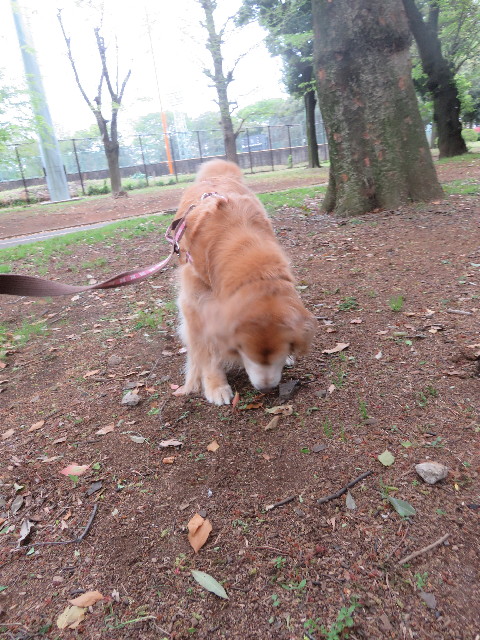 ファイル 5675-4.jpg