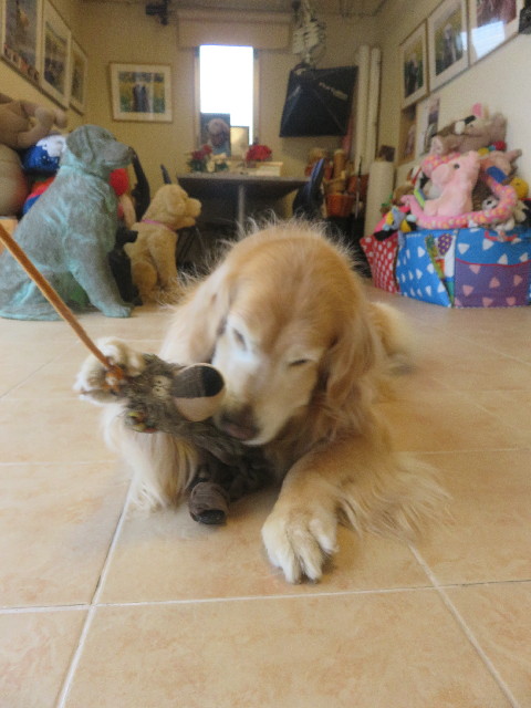 ファイル 5678-1.jpg