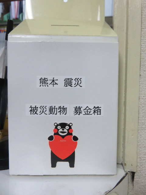 ファイル 5678-5.jpg