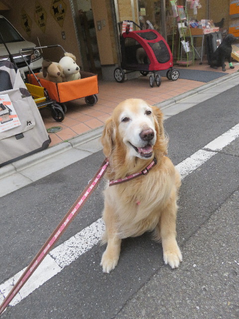 ファイル 5679-1.jpg