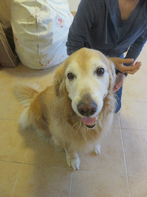 ファイル 5679-3.jpg